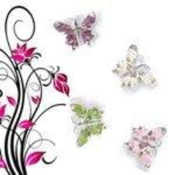 4 Crystal Fantasy Butterfly Pin Set Jewelry - AttractionOil.com