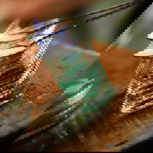 Men's Absinthe Scented Pheromone Oil - AttractionOil.com