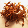 Men's Sandalwood Scented Pheromone Oil