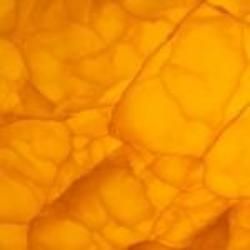 Women's Amber Scented Pheromone Oil - AttractionOil.com