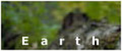 Women's Feng Shui Earth Scented Pheromone Oil - AttractionOil.com