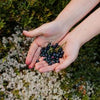 Women's Lilac & Gooseberry Scented Pheromone Oil