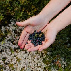 Women's Lilac & Gooseberry Scented Pheromone Oil - AttractionOil.com