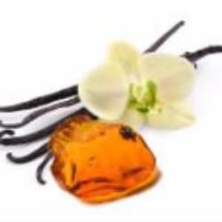 Women's Sweet Ambrosia Scented Pheromone Oil - AttractionOil.com