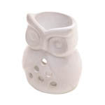 Charming Owl Oil Warmer Air Fresheners - AttractionOil.com